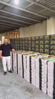 Фото первой партии абрикосов, отправляемой из Мартуни в Сингапур компанией Davtyan Farms