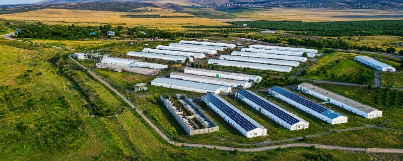 Птицефабрика «Гетамеч» после модернизации, Армения