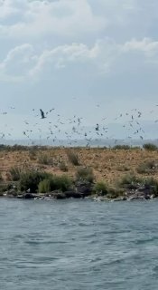 Никол Пашинян на острове чаек на Севане, Мартуни, Гегаркуник
