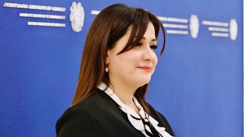 Назели Багдасарян покинула пост пресс-секретаря премьер-министра ради депутатства в Мартуни