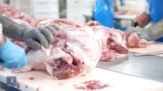 Производственный цех компании «Атенк» в Мартуни, Гегаркуник